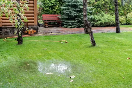 puddle in the yard